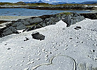 weiße Sandstrände, wie im Süden