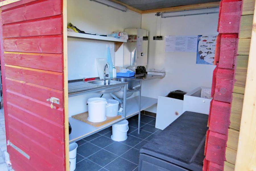 Schlachtraum mit Kühltruhe