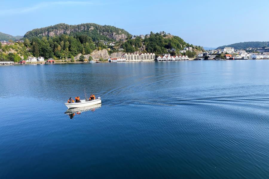die neuen Boote am Haus