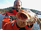 Furuholmen Brygge 7