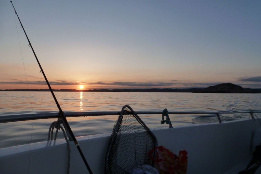 Steinfeda am Lenefjorden