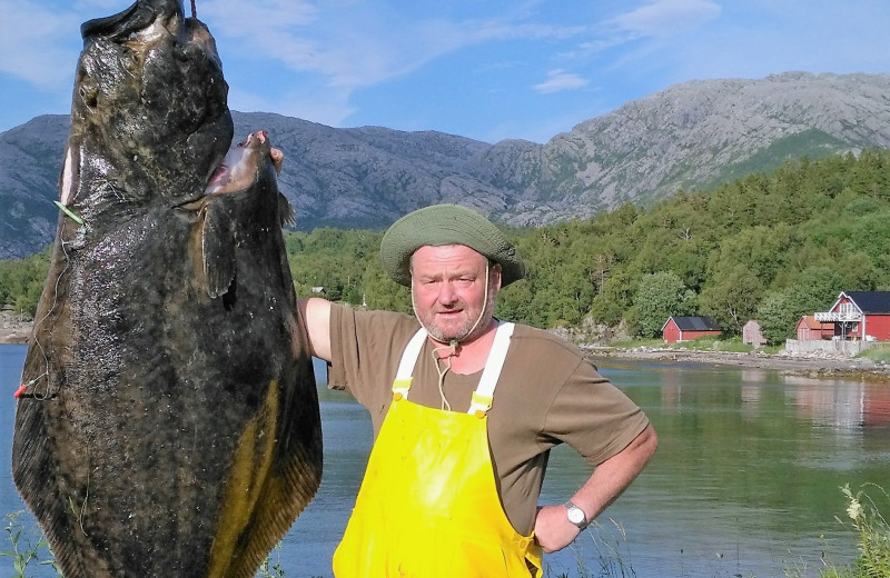 Heilbutt, Foto ist älter, 