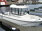 Boot gewünscht? Smartliner 21 ft., 100 PS - oder
