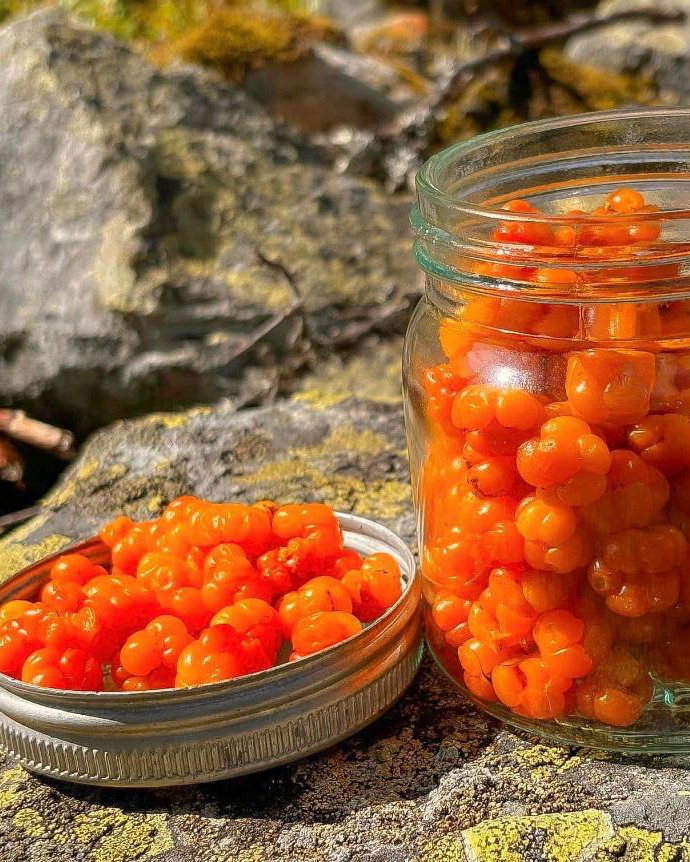 Natur hautnah erleben