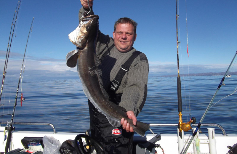 vor Hidra auf Seehecht