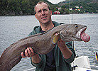 Arne