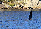 Farsund Nordstranda Hytte 2