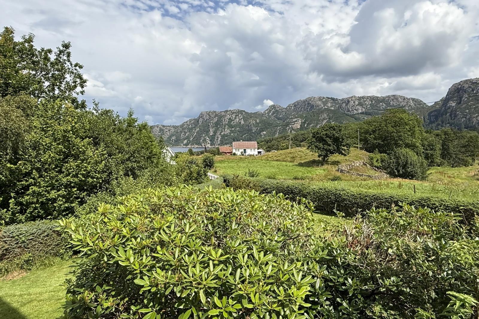 Im Frühling erwartet Sie eine Blumenpracht