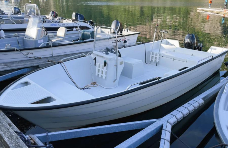 Sie können wählen: 20 ft. Vest, 25 PS, Plotter Echolot, führerscheinfrei 