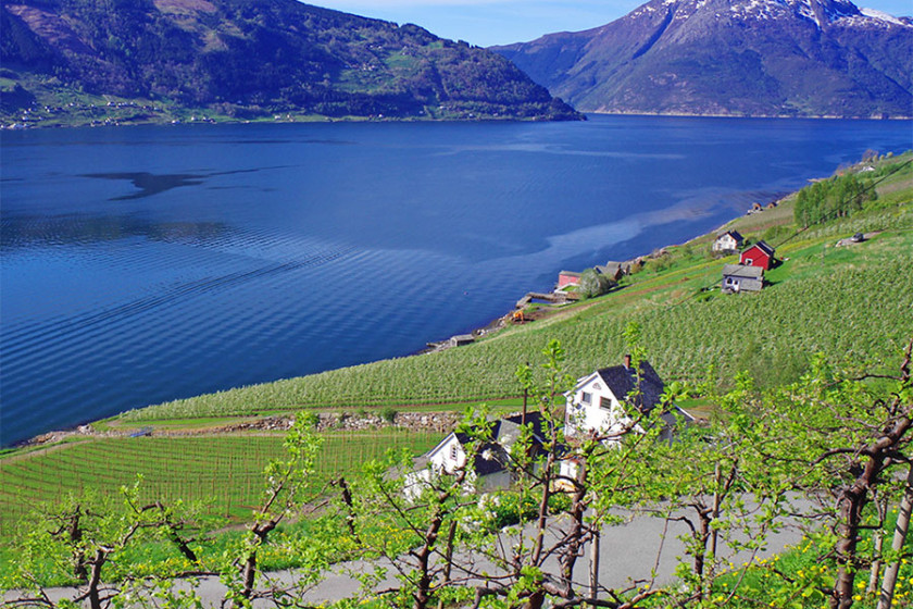 Extraboot Kafjord 620F