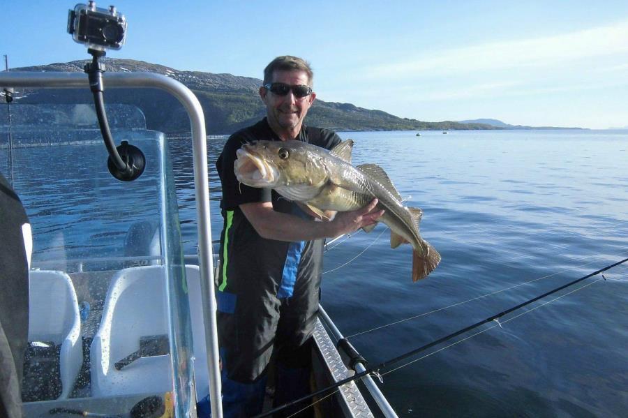 Danke für die Bilder: Patrick 2018