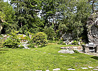 runter zum Garten über eine Naturtreppe