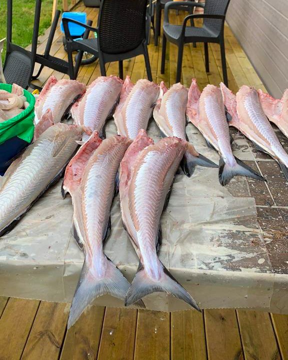 Essen, lecker zubereitet