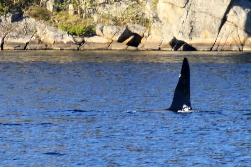 Farsund Nordstranda Fewo 4