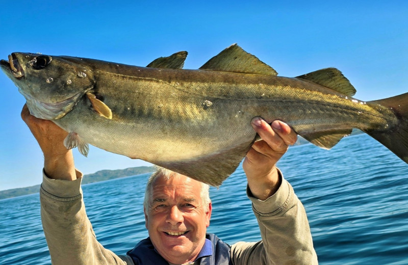 Achim mit Lista-Pollack