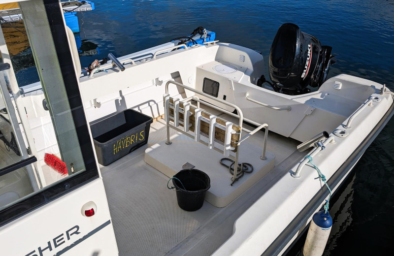 Borhaug Borshavn, Gästebrücke