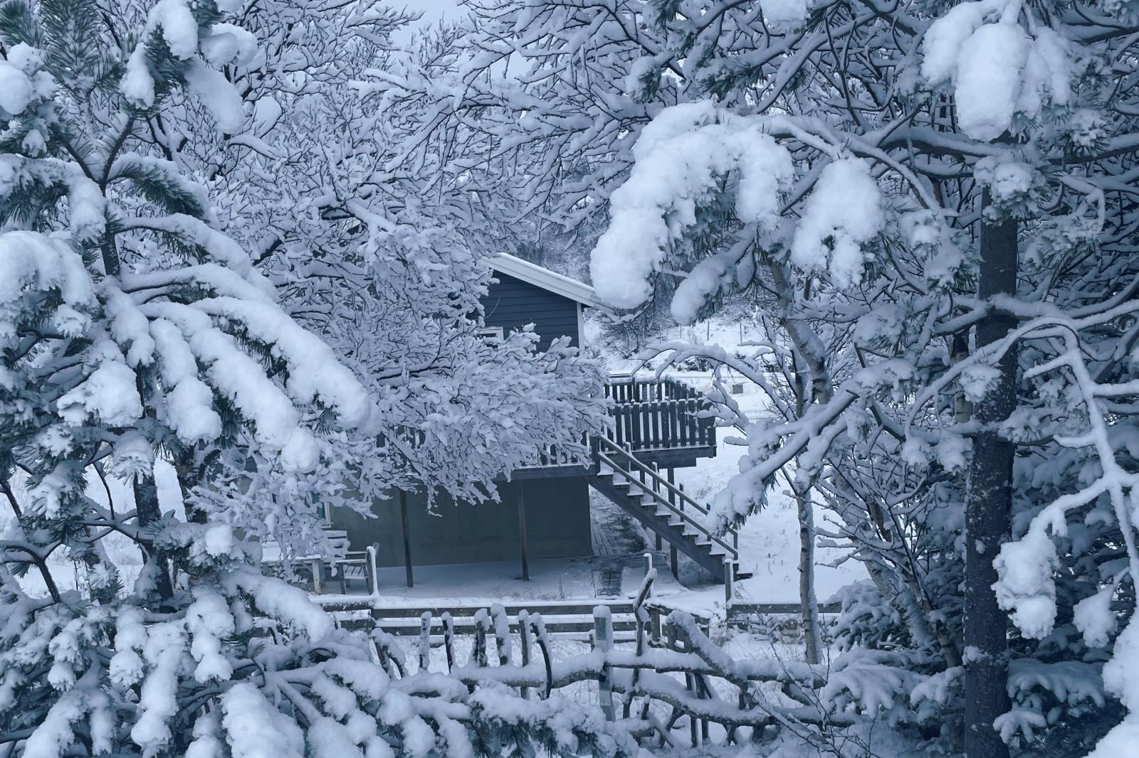 Winterstimmung und Polarlichter