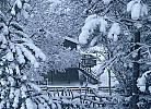 Winterstimmung und Polarlichter