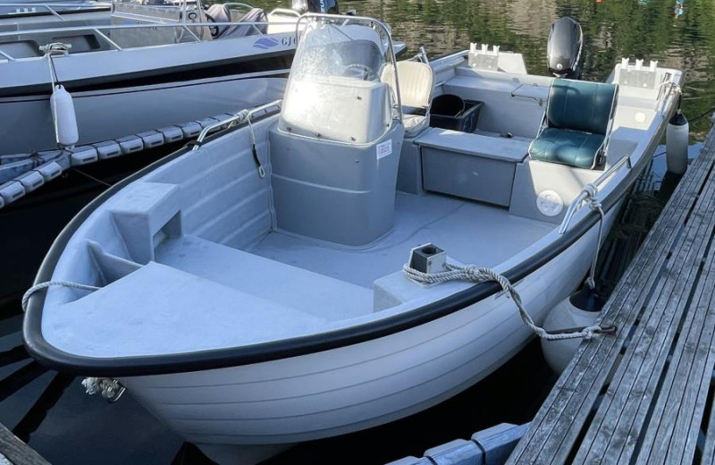 inkl.  Sting 600 Pro, 70 PS, Plotter Echolot