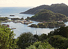 Arne