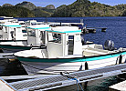 Boot Oien 620 mit 60 PS inklusive