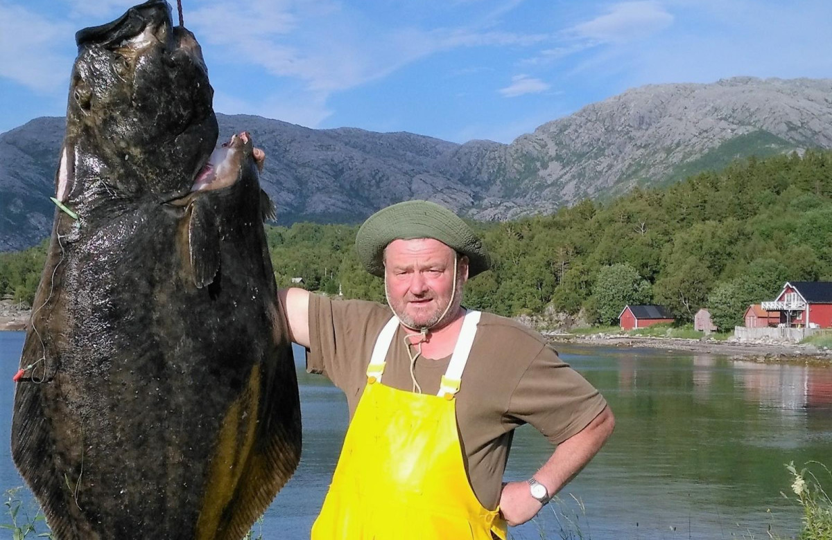 Ferienhaus Stokkasjoen, Heilbutt, 192 cm, 77 KG