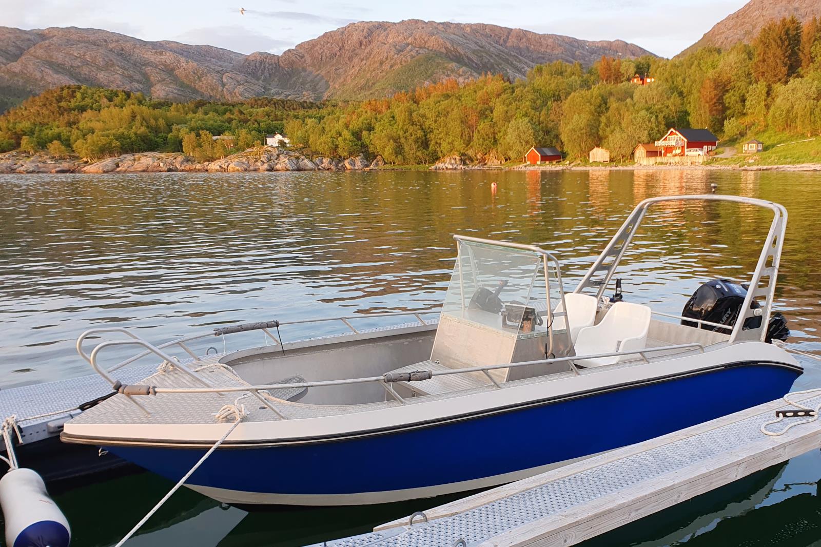 neuer 50 PS Motor, 19 ft. 