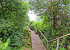 die Treppe zur Steganlage am Rosfjorden