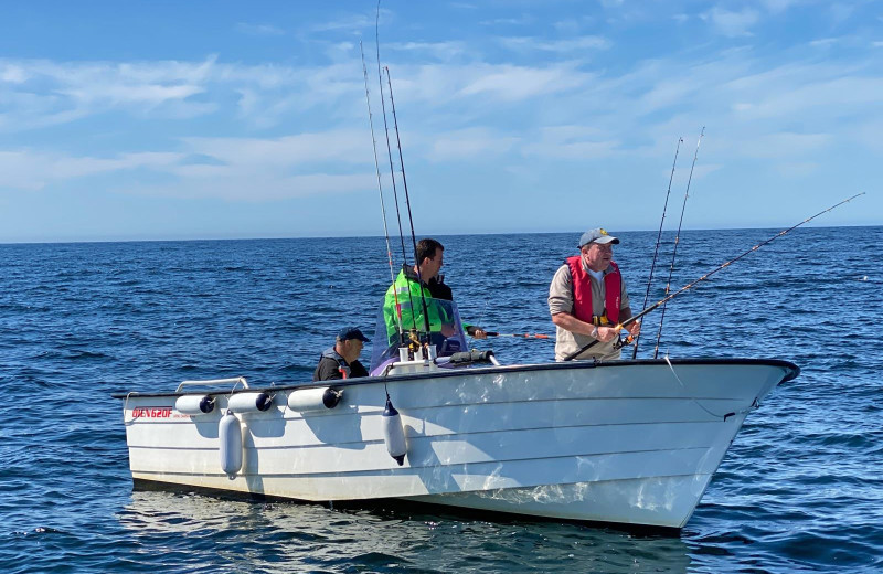 In der Saison gehört Boot Oien 620, 70 PS zur Fewo