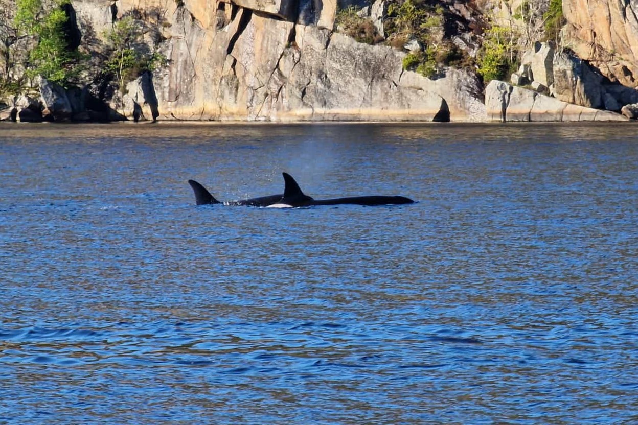 Farsund Nordstranda Hytte 3