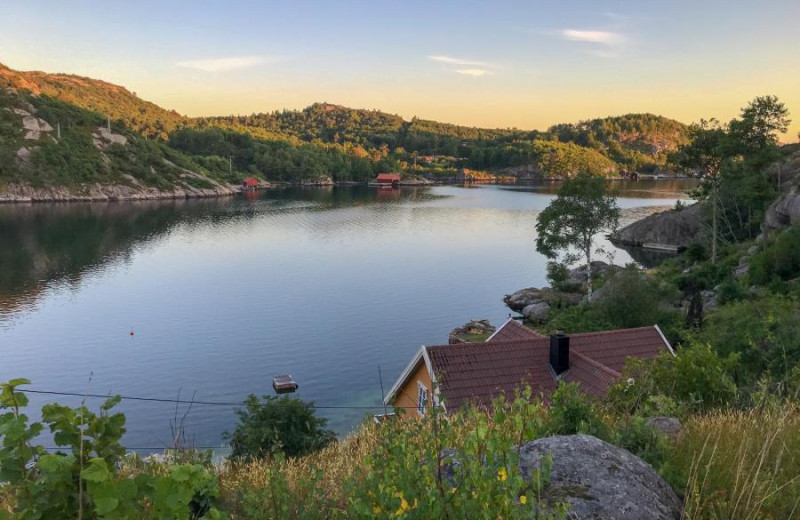 Blick vom Garten  auf den Fjord
