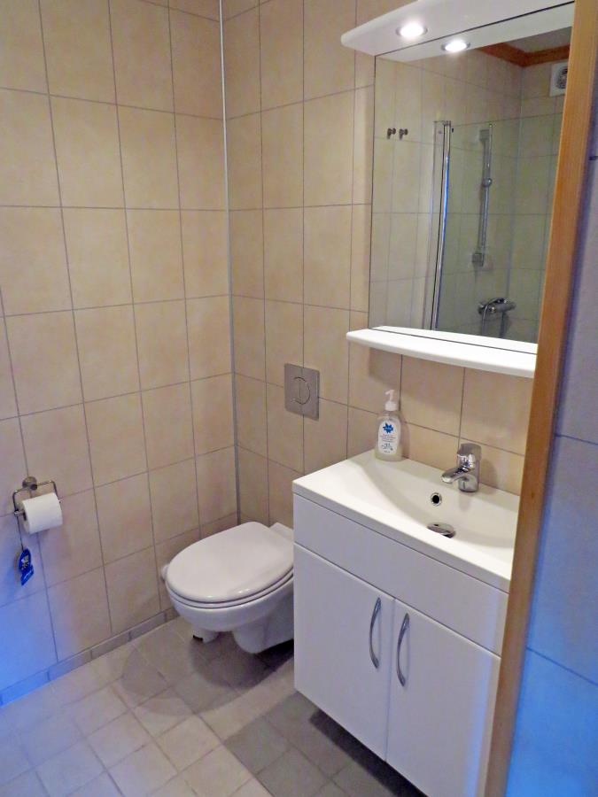 das Bad mit Dusche u. WC