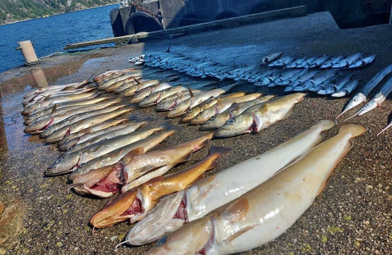 eine tolle Strecke aus dem Hidrasund