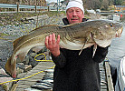 Furuholmen Brygge 7