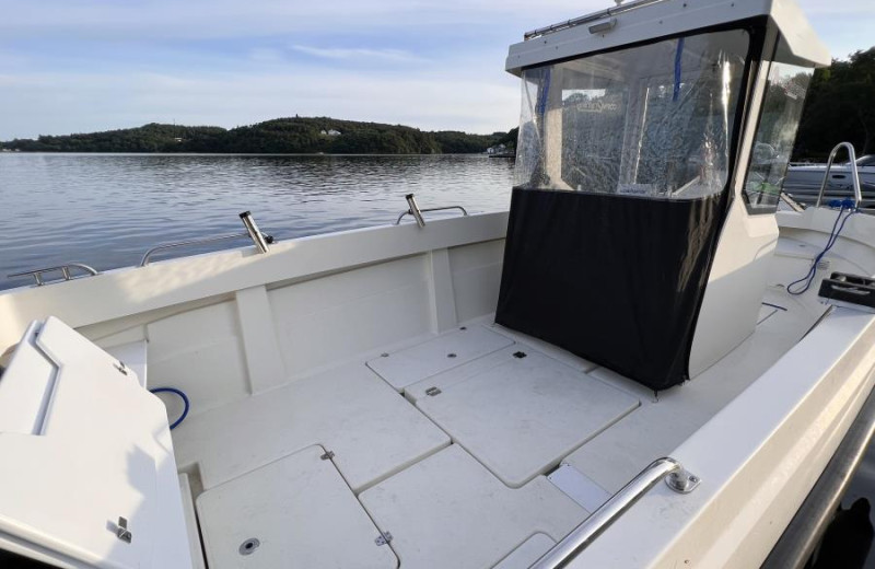 Boot P66 Multi Askeladden