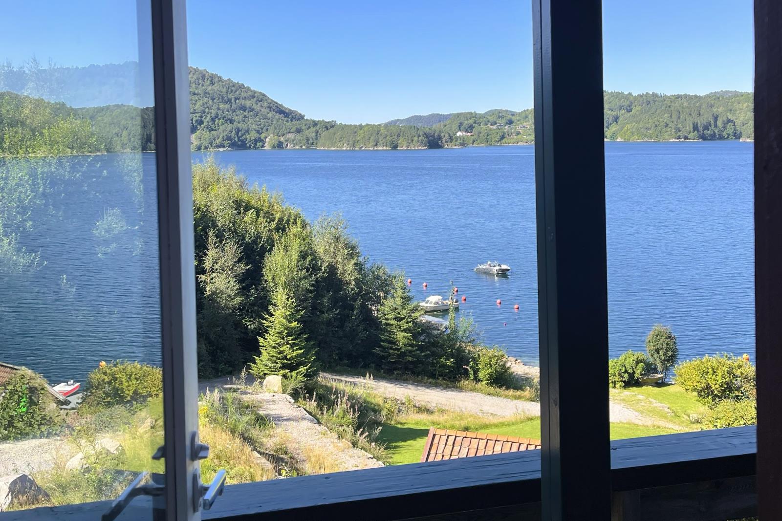 Steinfeda am Lenefjorden