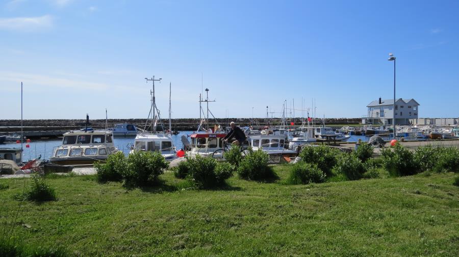 Boot Taule 23 ft. Diesel