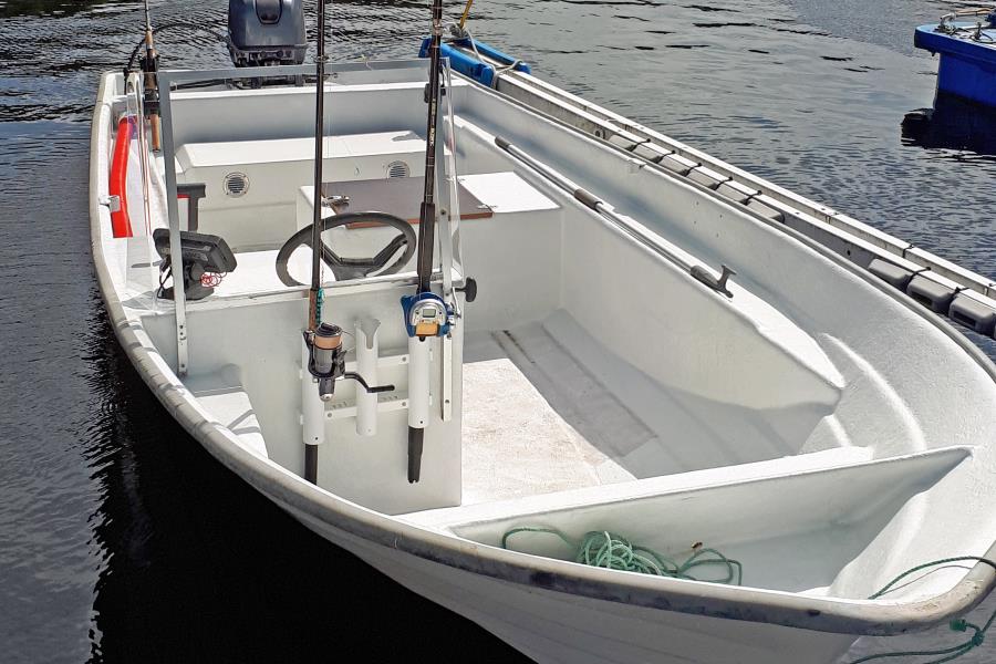 führerscheinfreies  Hansvik 16,5 ft, 25 PS